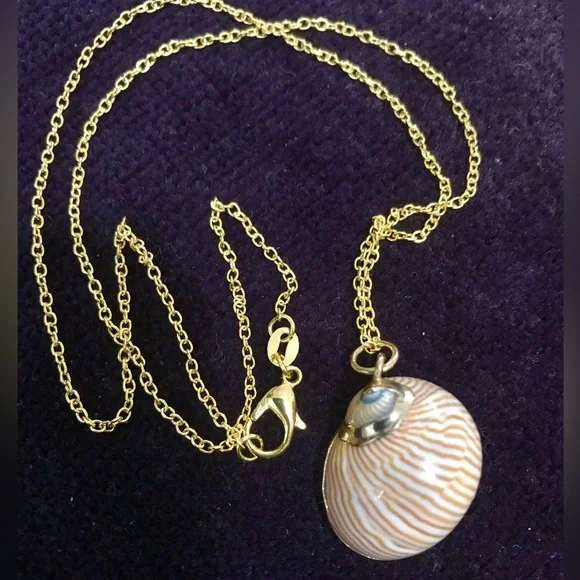 Vintage Shell 14k Gold plate Necklace - Picture 1 of 5
